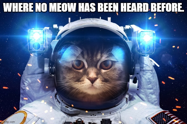 Space Cat 2 | WHERE NO MEOW HAS BEEN HEARD BEFORE. | image tagged in space cat 2 | made w/ Imgflip meme maker