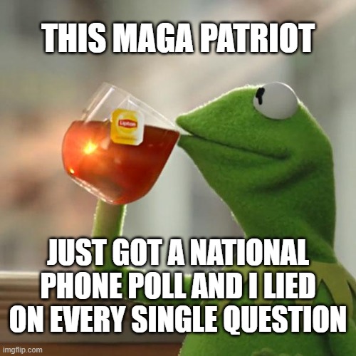 I love lying to Fake News media because they suck. |  THIS MAGA PATRIOT; JUST GOT A NATIONAL PHONE POLL AND I LIED ON EVERY SINGLE QUESTION | image tagged in memes,but that's none of my business,kermit the frog,trump 2020,gop 2020,maga 2020 | made w/ Imgflip meme maker