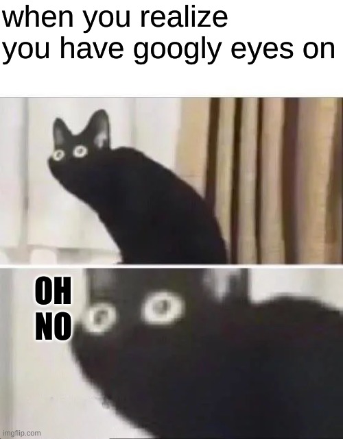 Oh No Black Cat | when you realize you have googly eyes on; OH NO | image tagged in oh no black cat | made w/ Imgflip meme maker
