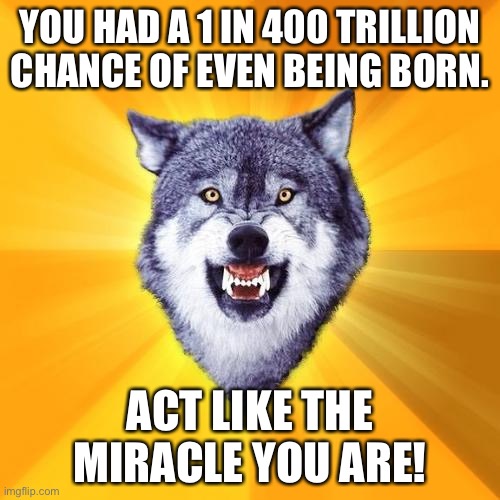 This stat is actually true, by the way, I checked | YOU HAD A 1 IN 400 TRILLION CHANCE OF EVEN BEING BORN. ACT LIKE THE MIRACLE YOU ARE! | image tagged in memes,courage wolf,encouragement | made w/ Imgflip meme maker
