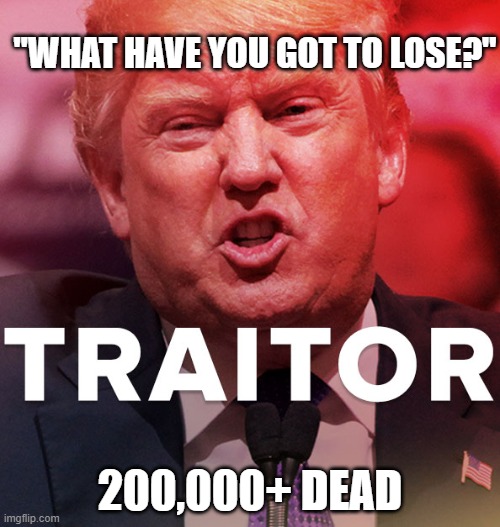 Killer in Chief | "WHAT HAVE YOU GOT TO LOSE?"; 200,000+ DEAD | image tagged in liar,liar in chief,con,pandemic,psychopath,malignant narcissist | made w/ Imgflip meme maker