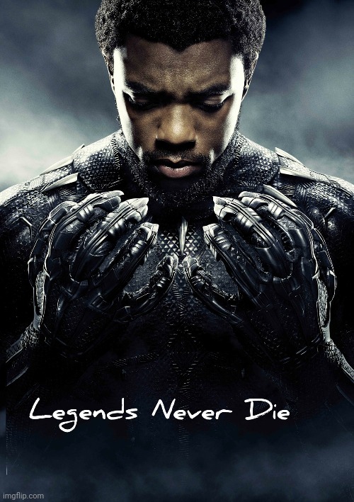 Long live black panther in our hearts | image tagged in legends never die | made w/ Imgflip meme maker