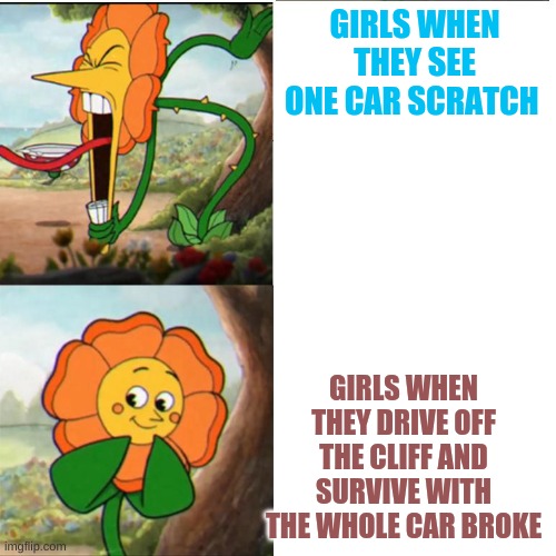 Cuphead Flower | GIRLS WHEN THEY SEE ONE CAR SCRATCH; GIRLS WHEN THEY DRIVE OFF THE CLIFF AND SURVIVE WITH THE WHOLE CAR BROKE | image tagged in cuphead flower | made w/ Imgflip meme maker