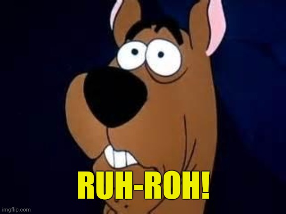 Scooby Doo Surprised | RUH-ROH! | image tagged in scooby doo surprised | made w/ Imgflip meme maker