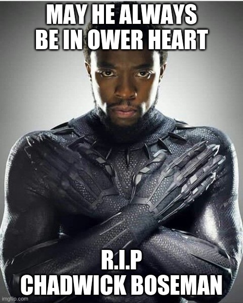 rest in peace for ever | MAY HE ALWAYS BE IN OWER HEART; R.I.P CHADWICK BOSEMAN | image tagged in chadwick boseman | made w/ Imgflip meme maker