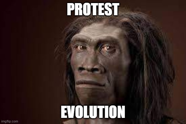 v | PROTEST; EVOLUTION | image tagged in evolution | made w/ Imgflip meme maker