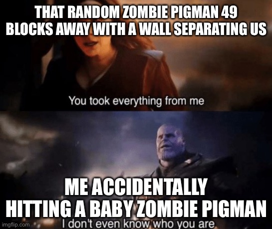 You took everything from me | THAT RANDOM ZOMBIE PIGMAN 49 BLOCKS AWAY WITH A WALL SEPARATING US; ME ACCIDENTALLY HITTING A BABY ZOMBIE PIGMAN | image tagged in you took everything from me | made w/ Imgflip meme maker