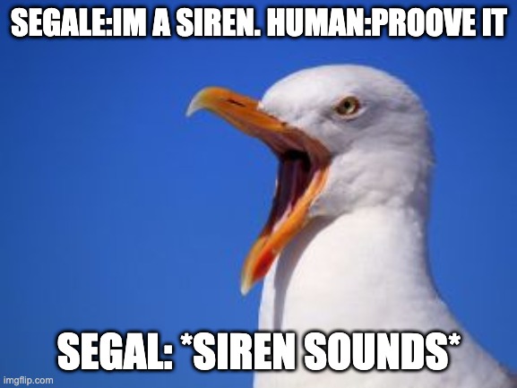 Seagle siren meme | SEGALE:IM A SIREN. HUMAN:PROOVE IT; SEGAL: *SIREN SOUNDS* | image tagged in ww3 | made w/ Imgflip meme maker