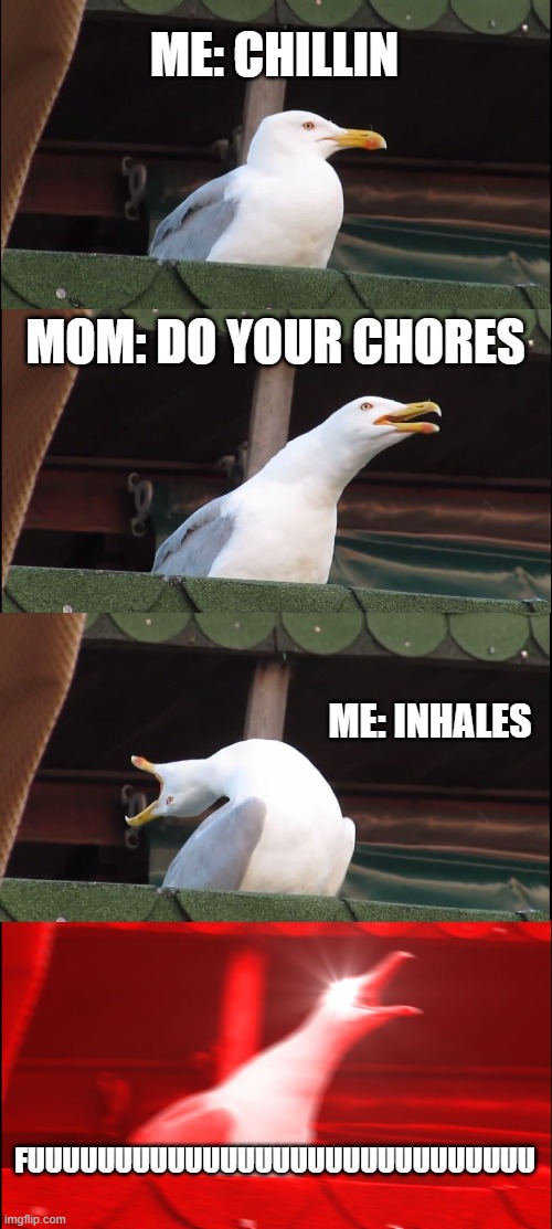 Inhaling Seagull | ME: CHILLIN; MOM: DO YOUR CHORES; ME: INHALES; FUUUUUUUUUUUUUUUUUUUUUUUUUUUUU | image tagged in memes,inhaling seagull | made w/ Imgflip meme maker
