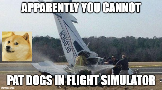 Plane Crash | APPARENTLY YOU CANNOT; PAT DOGS IN FLIGHT SIMULATOR | image tagged in plane crash | made w/ Imgflip meme maker