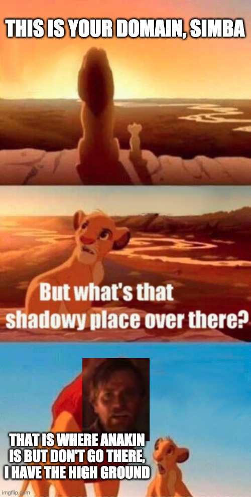 *Revenge of the Sith music intensifies* | THIS IS YOUR DOMAIN, SIMBA; THAT IS WHERE ANAKIN IS BUT DON'T GO THERE, I HAVE THE HIGH GROUND | image tagged in memes,simba shadowy place | made w/ Imgflip meme maker