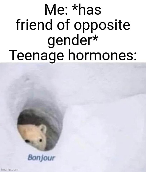 It didn't go up into flames like I thought it would though :D | Me: *has friend of opposite gender*
Teenage hormones: | image tagged in bonjour | made w/ Imgflip meme maker
