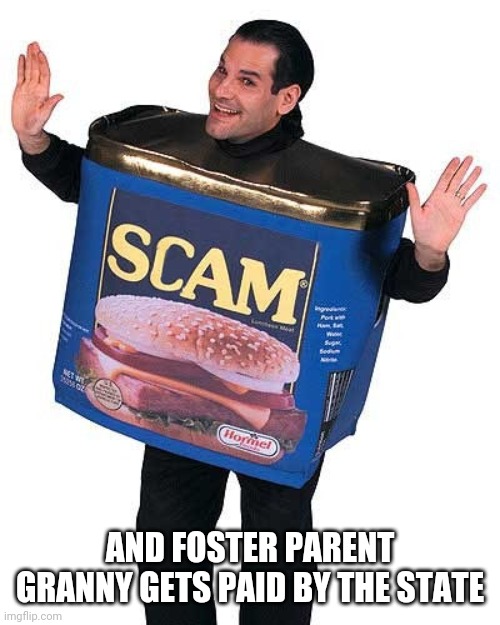 Scam | AND FOSTER PARENT GRANNY GETS PAID BY THE STATE | image tagged in scam | made w/ Imgflip meme maker