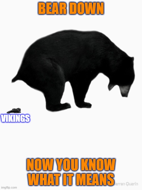 Bear Down on the Vikings |  BEAR DOWN; VIKINGS; NOW YOU KNOW WHAT IT MEANS | image tagged in bears,chicago bears,vikings,minnesota vikings,vikes,bear down | made w/ Imgflip meme maker