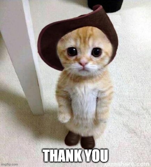 Cute Cat | THANK YOU | image tagged in cute cat | made w/ Imgflip meme maker