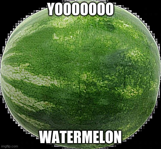 melon | YOOOOOOO; WATERMELON | image tagged in melon | made w/ Imgflip meme maker