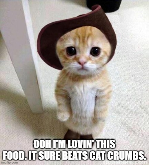 Cute Cat | OOH I'M LOVIN' THIS FOOD. IT SURE BEATS CAT CRUMBS. | image tagged in cute cat | made w/ Imgflip meme maker