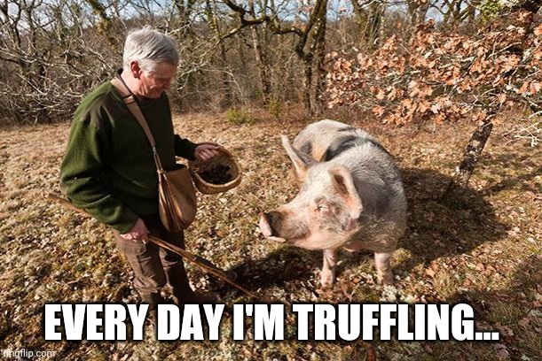 truffle pig | EVERY DAY I'M TRUFFLING... | image tagged in truffle pig | made w/ Imgflip meme maker