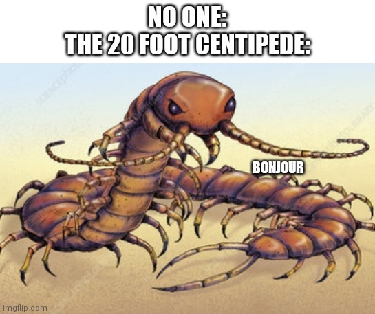 NO ONE:
THE 20 FOOT CENTIPEDE:; BONJOUR | made w/ Imgflip meme maker