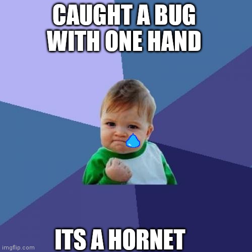 It stings | CAUGHT A BUG WITH ONE HAND; ITS A HORNET | image tagged in memes,success kid | made w/ Imgflip meme maker