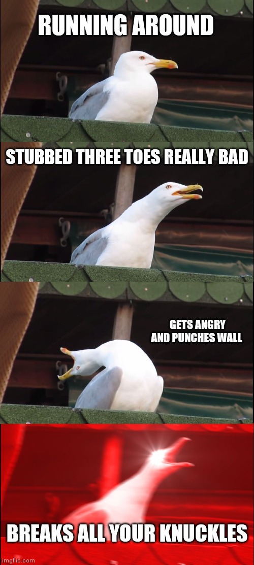 AGAIN!!! | RUNNING AROUND; STUBBED THREE TOES REALLY BAD; GETS ANGRY AND PUNCHES WALL; BREAKS ALL YOUR KNUCKLES | image tagged in memes,inhaling seagull | made w/ Imgflip meme maker