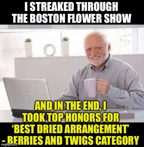 Harold | I STREAKED THROUGH THE BOSTON FLOWER SHOW; AND IN THE END, I TOOK TOP HONORS FOR ‘BEST DRIED ARRANGEMENT’ - BERRIES AND TWIGS CATEGORY | image tagged in harold | made w/ Imgflip meme maker