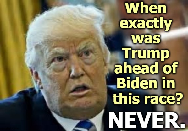 Not one single day. | When 
exactly 
was 
Trump 
ahead of 
Biden in 
this race? NEVER. | image tagged in trump dilated taken aback aghast surprised,biden,winning,trump,losing,tough | made w/ Imgflip meme maker