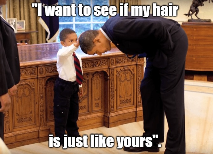"I want to see if my hair is just like yours". | made w/ Imgflip meme maker