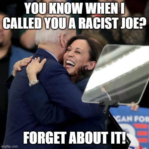 Joe Biden Kamala Harris | YOU KNOW WHEN I CALLED YOU A RACIST JOE? FORGET ABOUT IT! | image tagged in joe biden kamala harris | made w/ Imgflip meme maker