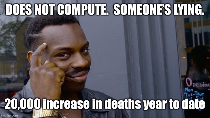 Roll Safe Think About It Meme | DOES NOT COMPUTE.  SOMEONE’S LYING. 20,000 increase in deaths year to date | image tagged in memes,roll safe think about it | made w/ Imgflip meme maker