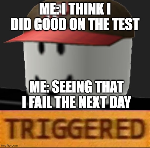 roblox triggered | ME: I THINK I DID GOOD ON THE TEST; ME: SEEING THAT I FAIL THE NEXT DAY | image tagged in roblox triggered,roblox meme,roblox noob,roblox oof,funny,roblox | made w/ Imgflip meme maker