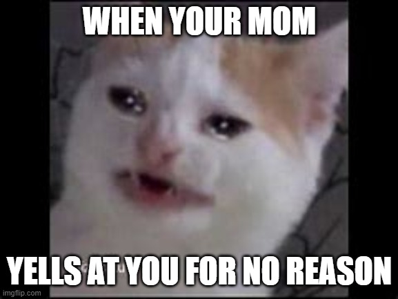 so so true | WHEN YOUR MOM; YELLS AT YOU FOR NO REASON | image tagged in memes,sad cat,scared cat,lol so funny,lol,funny | made w/ Imgflip meme maker