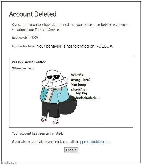 What's wrong, bro? | 9/8/20; Your behavior is not tolerated on ROBLOX. Adult Content | image tagged in banned from roblox,sans,roblox,bruh,memes,funny | made w/ Imgflip meme maker