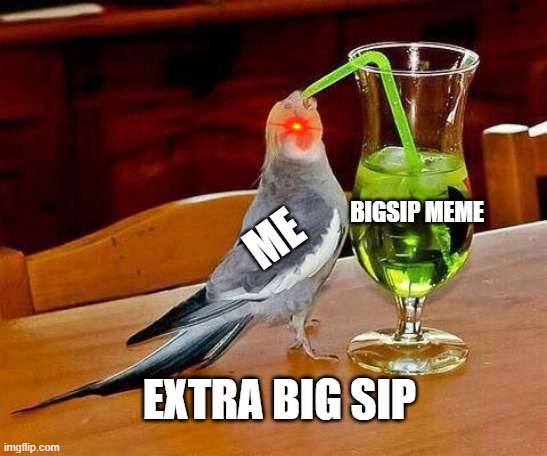 Big Sip | BIGSIP MEME; ME; EXTRA BIG SIP | image tagged in big sip | made w/ Imgflip meme maker