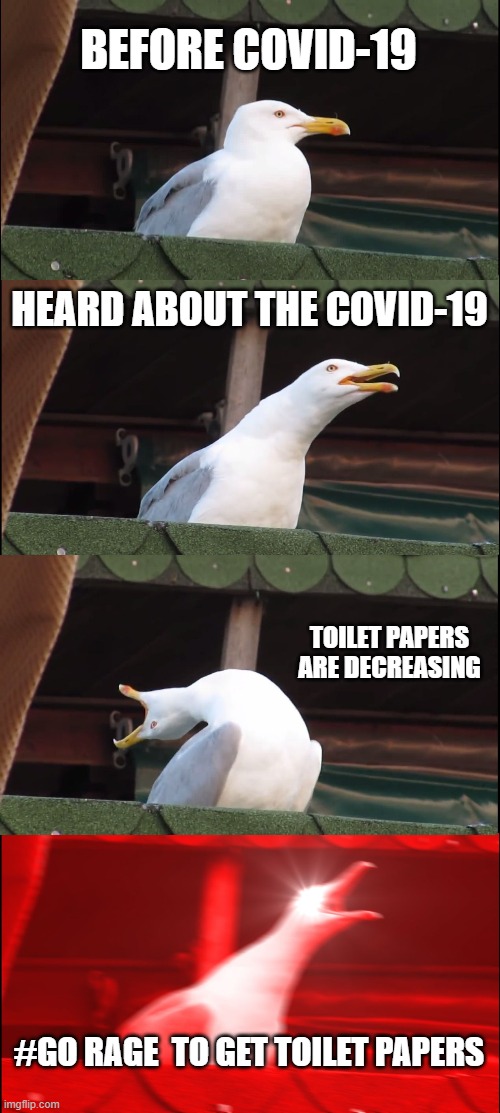 Inhaling Seagull | BEFORE COVID-19; HEARD ABOUT THE COVID-19; TOILET PAPERS ARE DECREASING; #GO RAGE  TO GET TOILET PAPERS | image tagged in memes,inhaling seagull | made w/ Imgflip meme maker