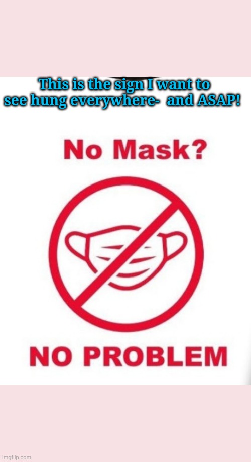 End mask hysteria | This is the sign I want to see hung everywhere-  and ASAP! | image tagged in covidiots,panic,libtards,hoax | made w/ Imgflip meme maker