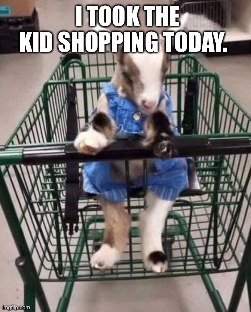 Kids, funny | I TOOK THE KID SHOPPING TODAY. | image tagged in taking kid shopping | made w/ Imgflip meme maker