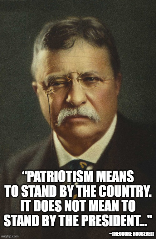 Patriotism | “PATRIOTISM MEANS TO STAND BY THE COUNTRY. IT DOES NOT MEAN TO STAND BY THE PRESIDENT..."; ~THEODORE ROOSEVELT | image tagged in patriotism | made w/ Imgflip meme maker