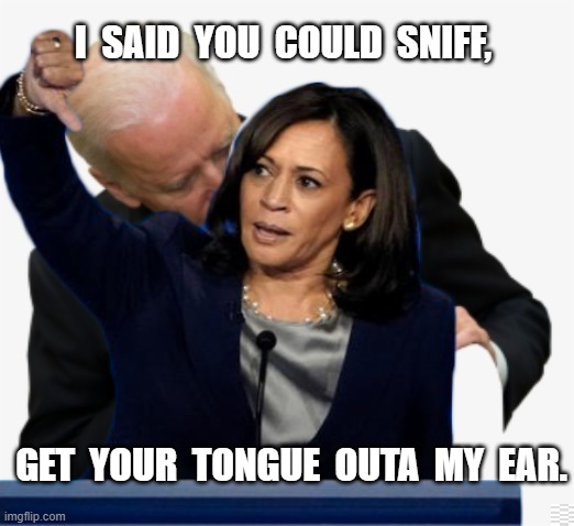 Biden Harris | I  SAID  YOU  COULD  SNIFF, GET  YOUR  TONGUE  OUTA  MY  EAR. | image tagged in sniff,meme | made w/ Imgflip meme maker