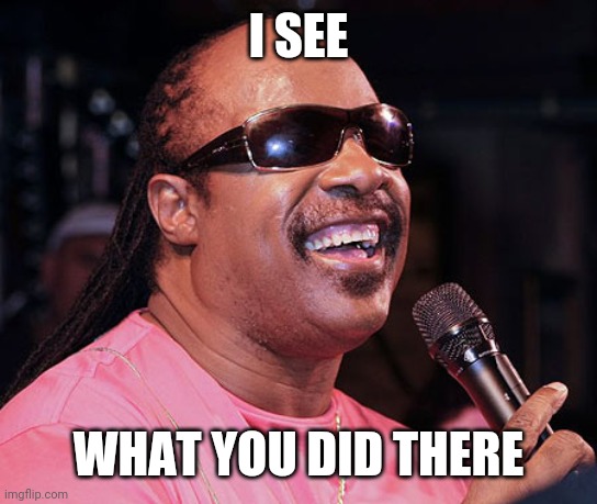 I SEE WHAT YOU DID THERE | image tagged in stevie wonder | made w/ Imgflip meme maker