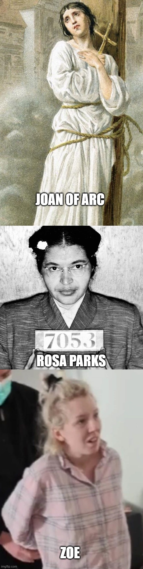 Freedom fighters | JOAN OF ARC; ROSA PARKS; ZOE | image tagged in freedom | made w/ Imgflip meme maker