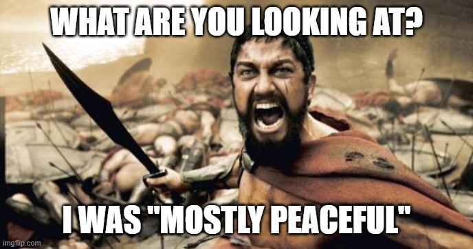 Sparta Leonidas | WHAT ARE YOU LOOKING AT? I WAS "MOSTLY PEACEFUL" | image tagged in memes,sparta leonidas | made w/ Imgflip meme maker