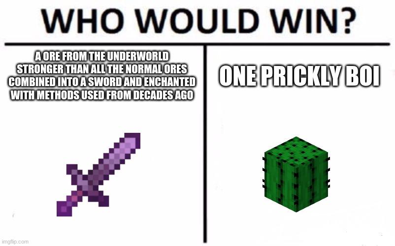 Prickly boi's always wins | A ORE FROM THE UNDERWORLD STRONGER THAN ALL THE NORMAL ORES COMBINED INTO A SWORD AND ENCHANTED WITH METHODS USED FROM DECADES AGO; ONE PRICKLY BOI | image tagged in memes,who would win,netherite,cactus,minecraft | made w/ Imgflip meme maker