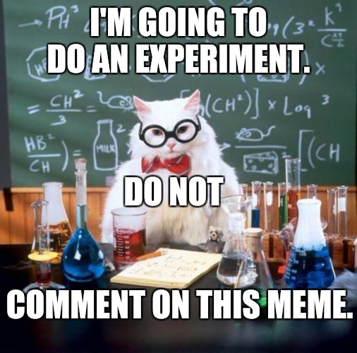 Curious as this science cat. | I'M GOING TO DO AN EXPERIMENT. DO NOT; COMMENT ON THIS MEME. | image tagged in memes,chemistry cat,experiment,kitty,comments,do not | made w/ Imgflip meme maker