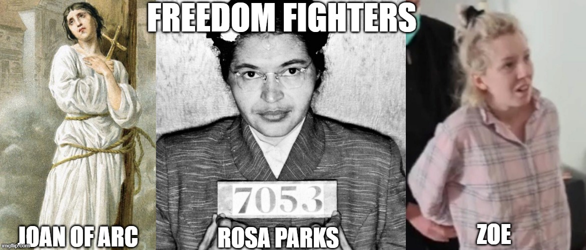 Freedom fighters | FREEDOM FIGHTERS; ROSA PARKS; ZOE; JOAN OF ARC | image tagged in freedom | made w/ Imgflip meme maker