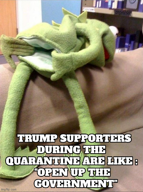 image tagged in coronavirus,kermit the frog,trump supporters,muppets,covid-19,lockdown | made w/ Imgflip meme maker