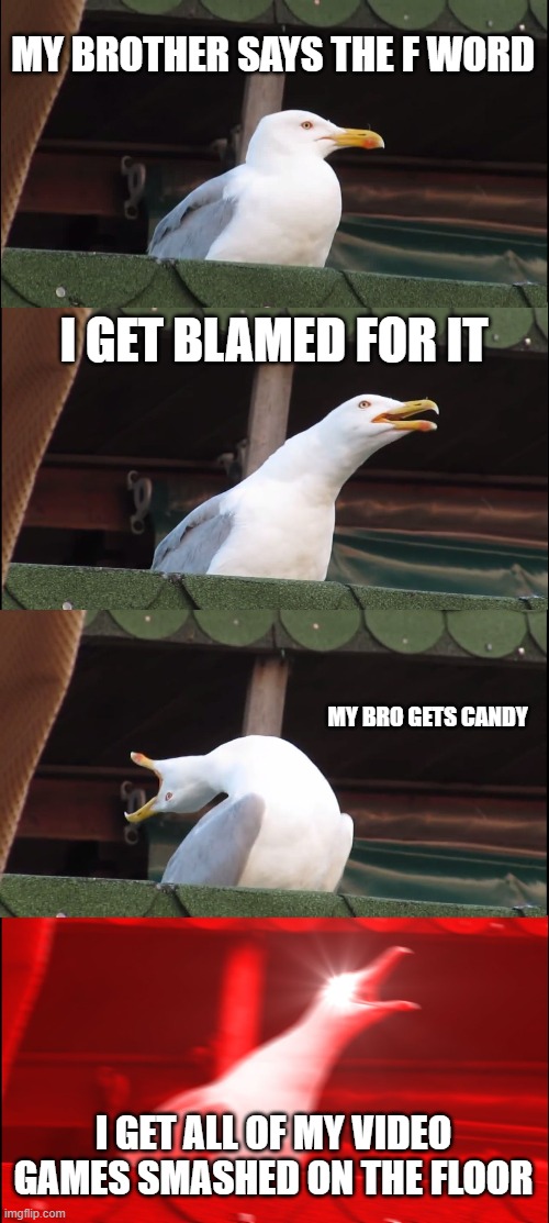 Inhaling Seagull | MY BROTHER SAYS THE F WORD; I GET BLAMED FOR IT; MY BRO GETS CANDY; I GET ALL OF MY VIDEO GAMES SMASHED ON THE FLOOR | image tagged in memes,inhaling seagull | made w/ Imgflip meme maker