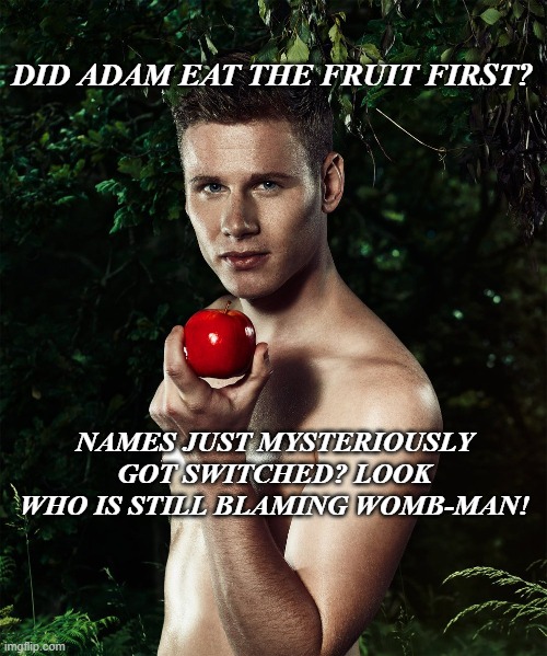 Adam was a Blamer | DID ADAM EAT THE FRUIT FIRST? NAMES JUST MYSTERIOUSLY GOT SWITCHED? LOOK WHO IS STILL BLAMING WOMB-MAN! | image tagged in dog in burning house,patriarchy,religious freedom,freedom of speech | made w/ Imgflip meme maker