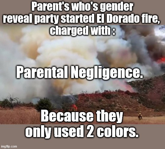 Not out of the realm of possibility | Parent's who's gender reveal party started El Dorado fire, 
charged with :; Parental Negligence. Because they only used 2 colors. | image tagged in california fires,gender reveal,ooops | made w/ Imgflip meme maker