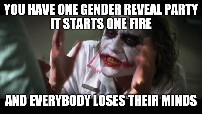 Gender reveal | YOU HAVE ONE GENDER REVEAL PARTY
          IT STARTS ONE FIRE; AND EVERYBODY LOSES THEIR MINDS | image tagged in memes,and everybody loses their minds,california fires | made w/ Imgflip meme maker